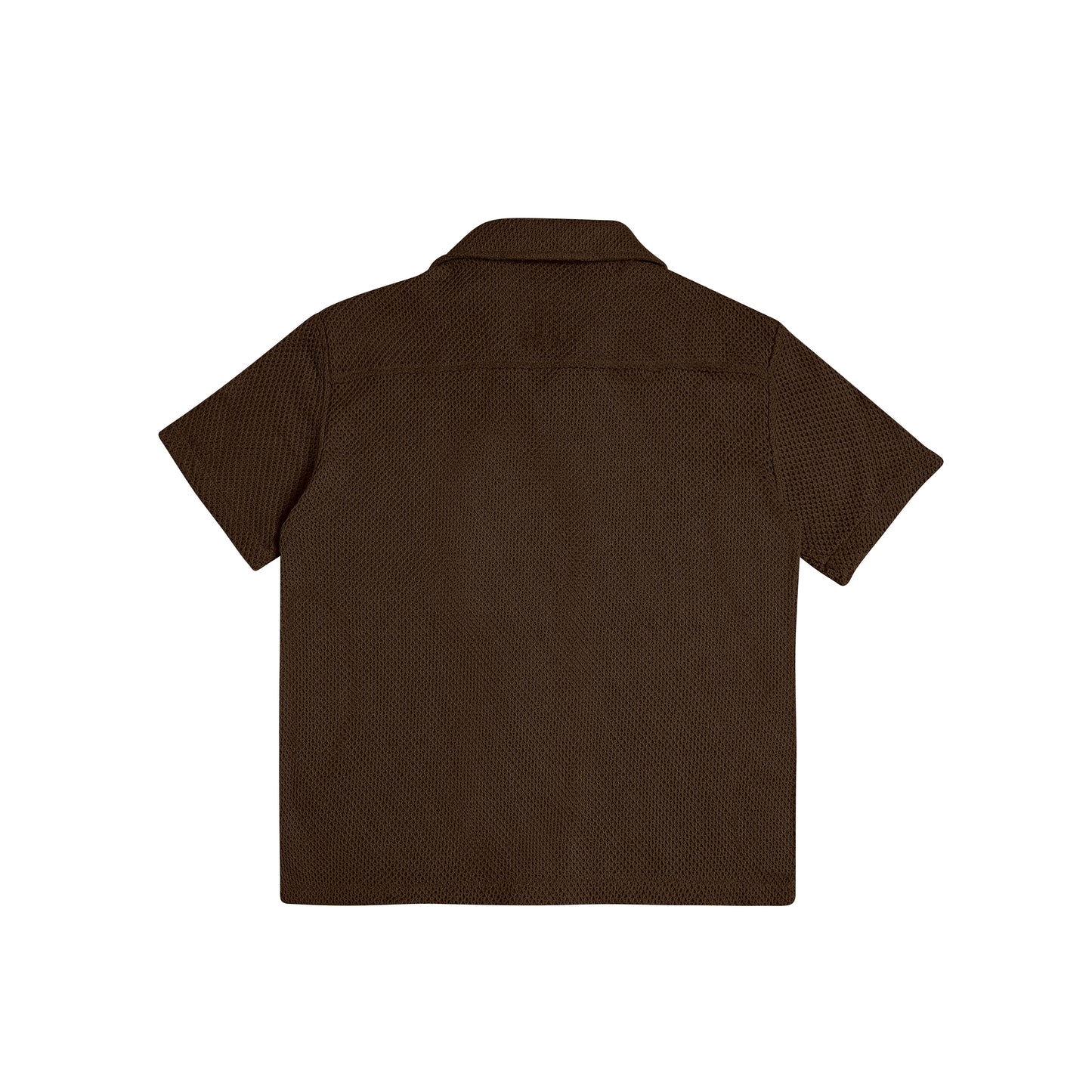 "PIQUE" in Brown