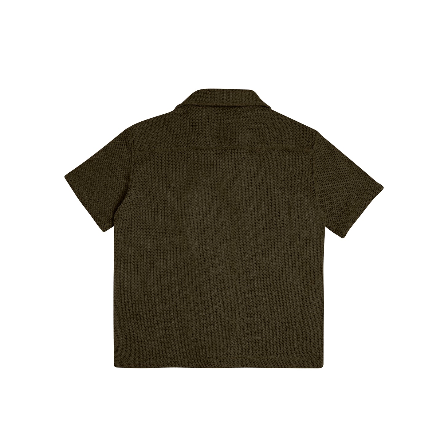 "PIQUE" in Olive